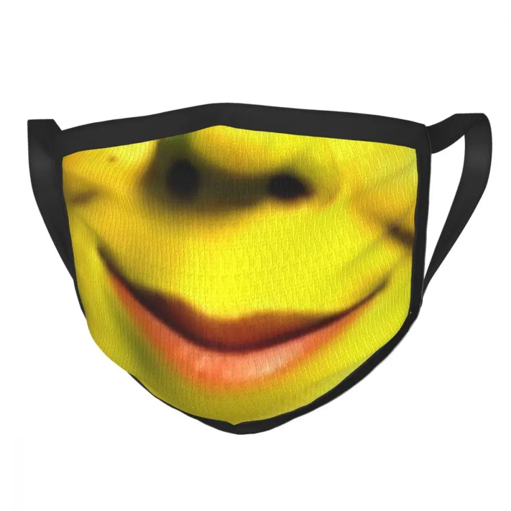 Shrek meme adulto crianças anti poeira pm2.5 filtro máscara diy